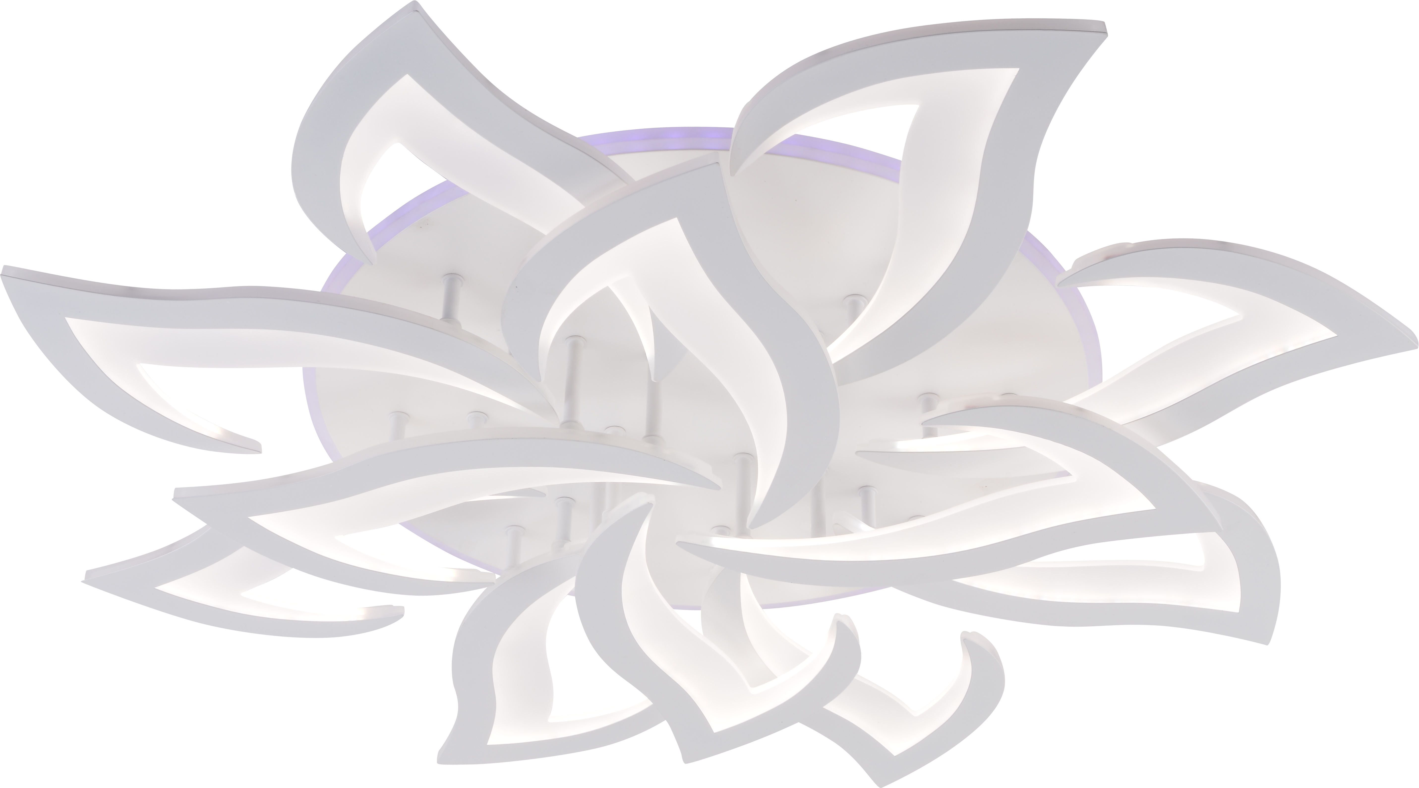 8028/8+4 WHT