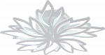 9862/4+4 WHT (МАРКЕТ)