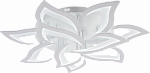 8845/7+3A WHT (МАРКЕТ)