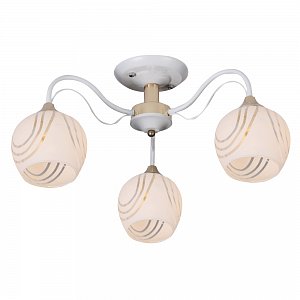 1252/3C WH+FGD 1252/3C WH+FGD