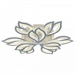 8004/6+3 WHT (SMART)